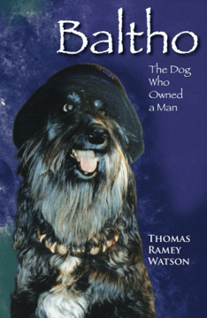 Buy Baltho Thomas Ramey watson Buy Baltho Thomas Ramey watson